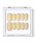 Buttery Feel - The Summer Yellow