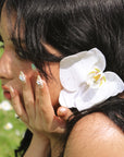 Orchid Speaks