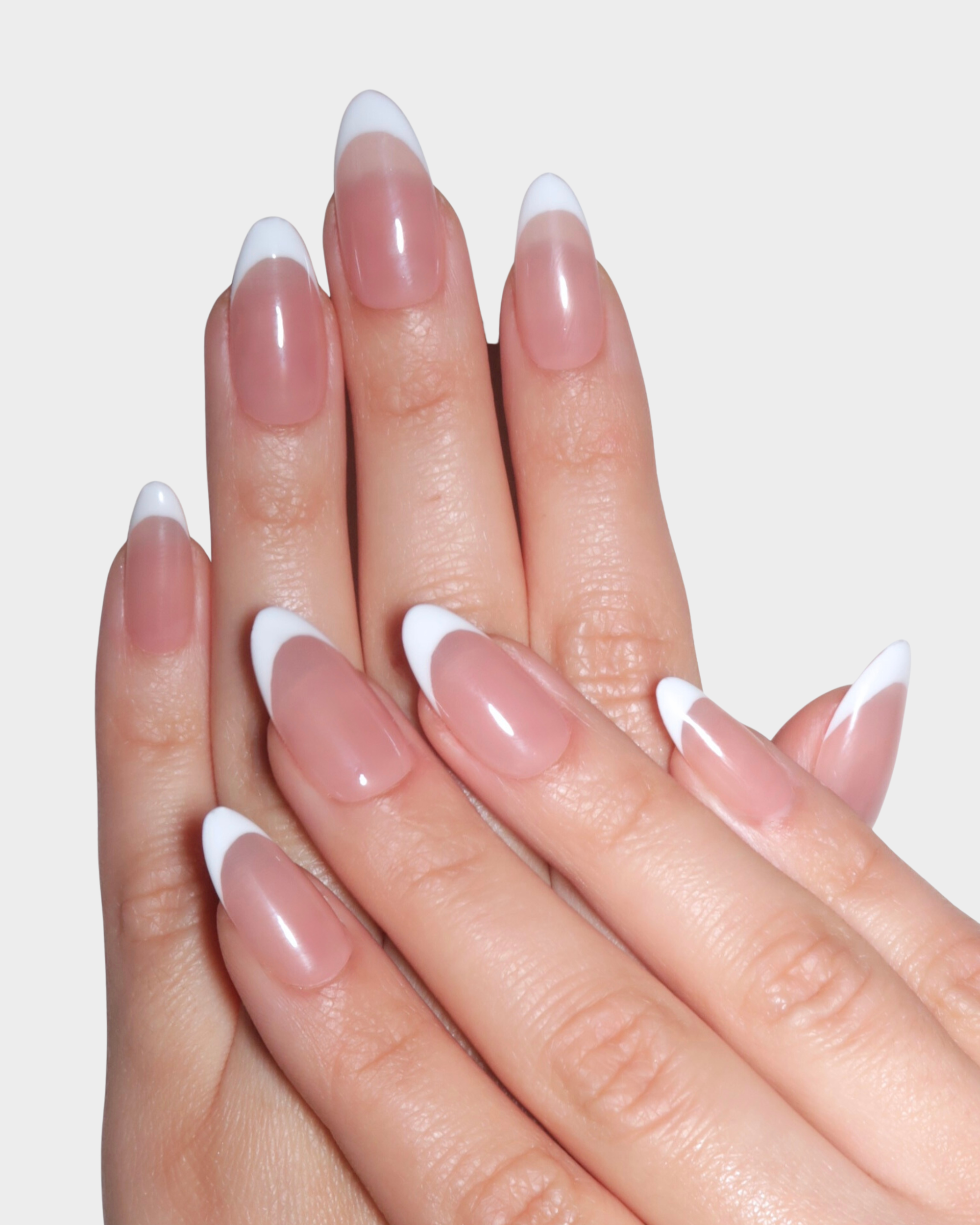 Regina : Glossy French